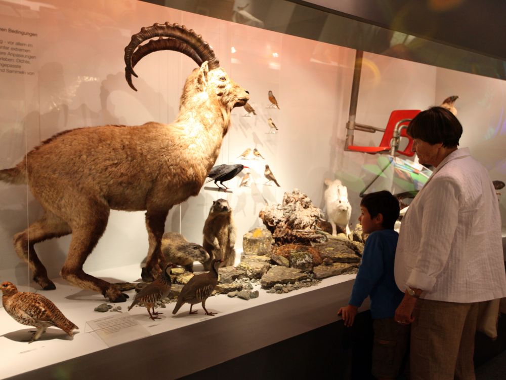 Naturmuseum in Olten